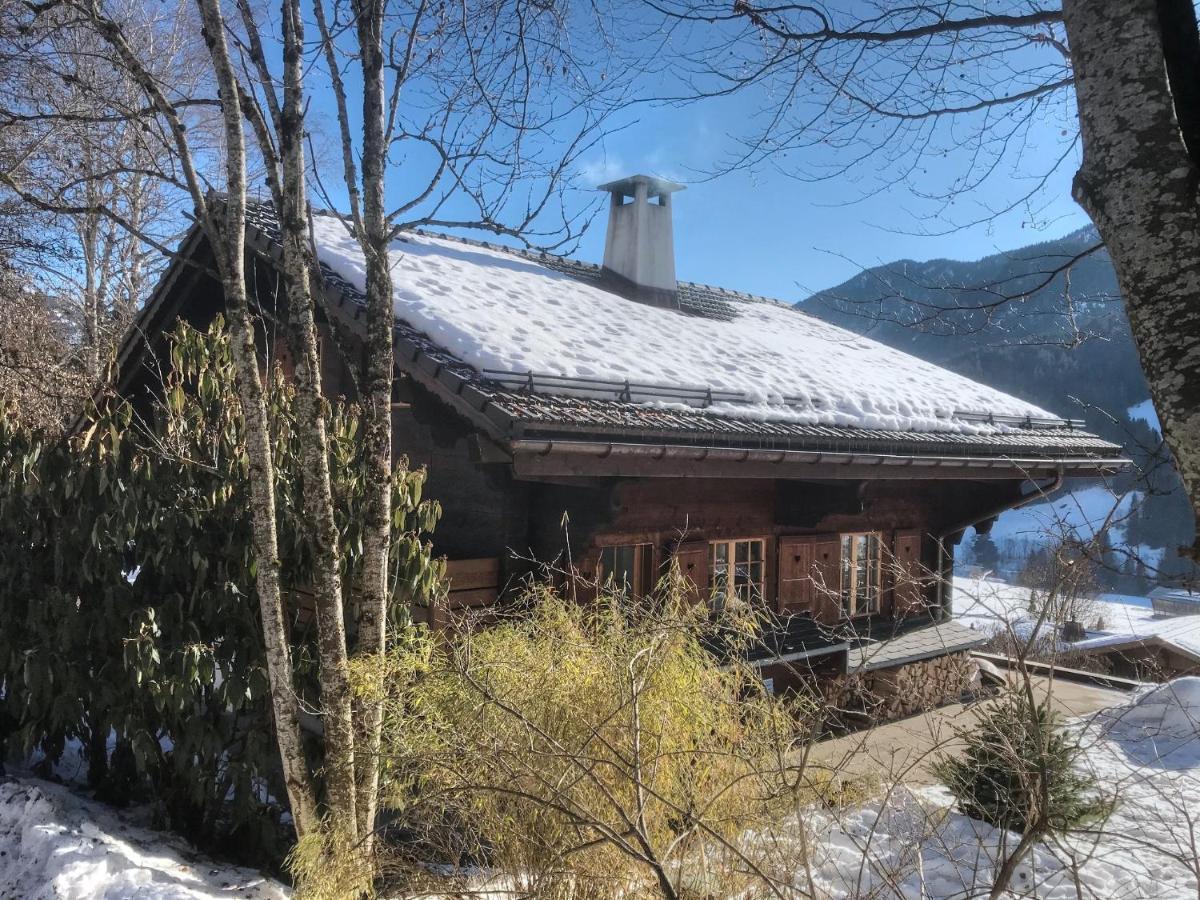 Les Jumelles Villa Gstaad Exterior photo